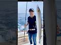世界の超特大ルアー3選！#釣り#魚釣り#ビッグベイト#fishing#shorts