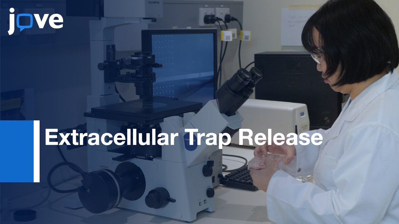 Extracellular Trap Release in Macrophages | Protocol Preview