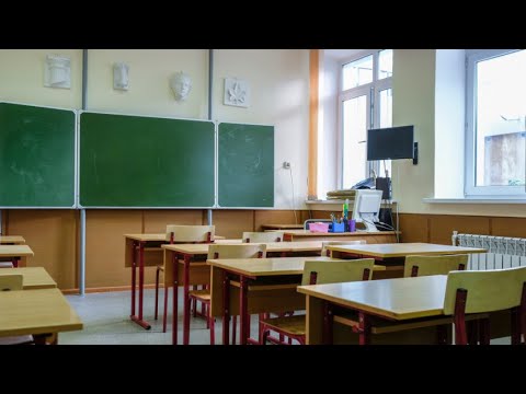 Школы закрыли на карантин из-за микоплазмоза в Пензенской области