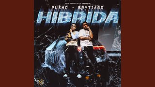 Hibrida - Pusho & Brytiago
