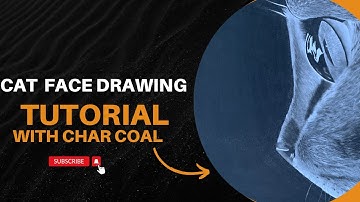 Realistic Cat face drawing shading tutorial | how to draw smooth shading with charcoal