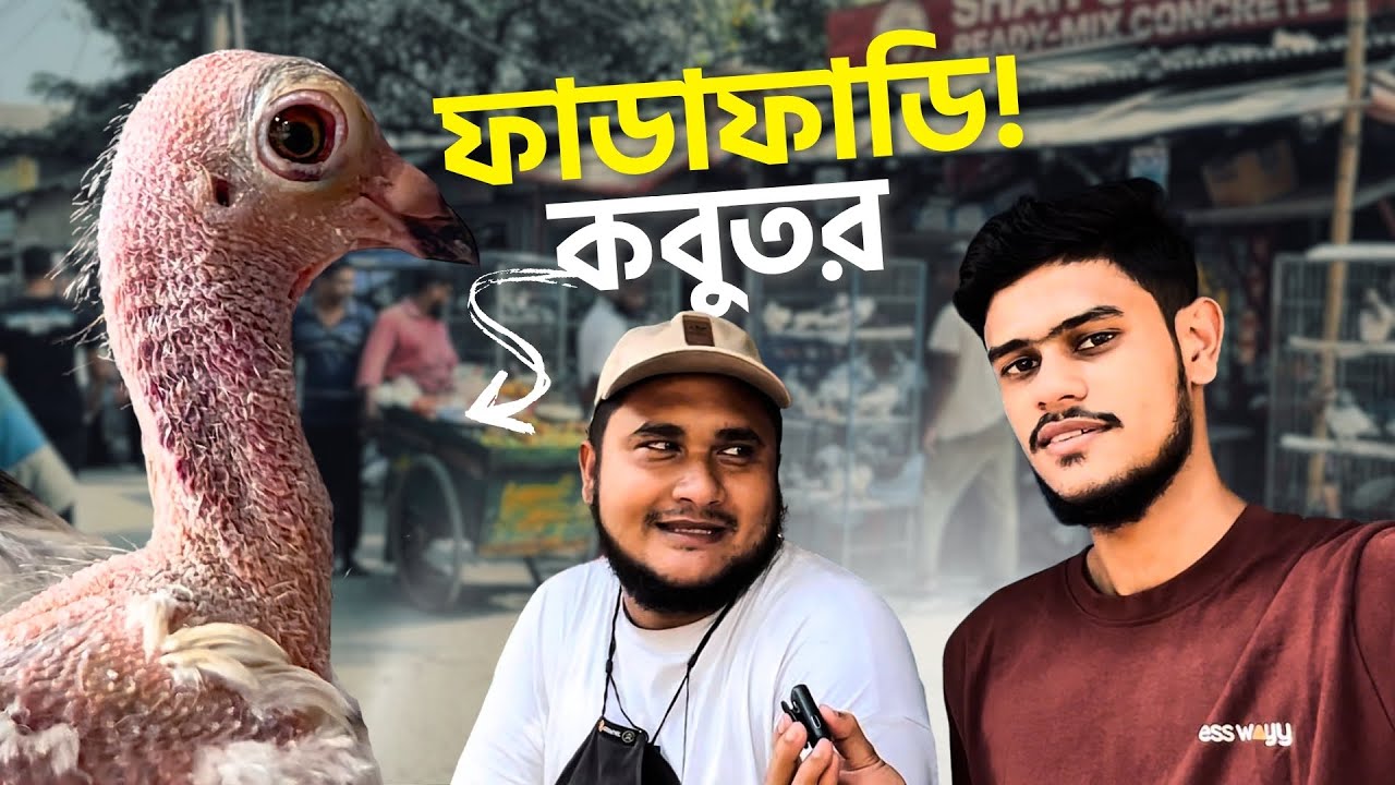হাটে কবুতর খুঁজে পেলাম না!