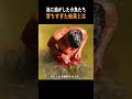 妻にナイショで餌やりを続けた池が、とんでもないことに