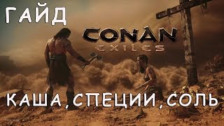 CONAN EXILES | GRUEL, SPICES, SALT | GUIDE