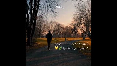 قرآن كريم بصوت القارئ: فارس عباد|| أجمل حالات واتس اب دينيه || مقاطع انستقرام 🍃
