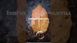 Bahasa Kalbu ~ Titi DJ #liriklagu #lirikkenangan #lagu #nostalgiapopuler #nostalgia #lagunostalgia