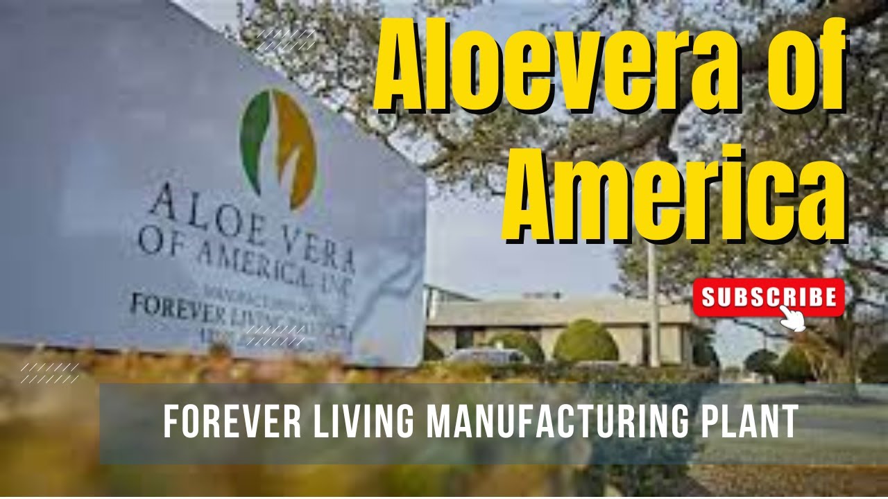 aloe vera pflanze pflege Tipps zur Pflege deiner Pflanze : Aloe Vera – PflanzenFuerAlle main image 1