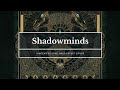 THE HALO EFFECT - Shadowminds | Backing Track (Instrumental Cover)