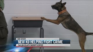 Taylor County Sheriff's Office gets new K-9