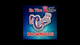 Video-Miniaturansicht von „El Ahuate (En Vivo) (2016) - Banda Los Costeños De Zirandaro“