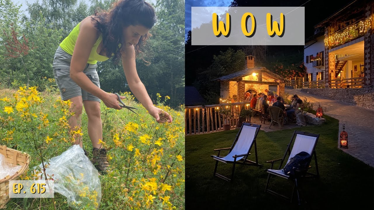 Una cena sotto le stelle, raccogliamo le erbe selvatiche e una grande novità! - Ep. 615