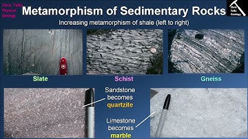 What Are Some Common Metamorphic Rocks? (Chapter 8 - Section 8.7)