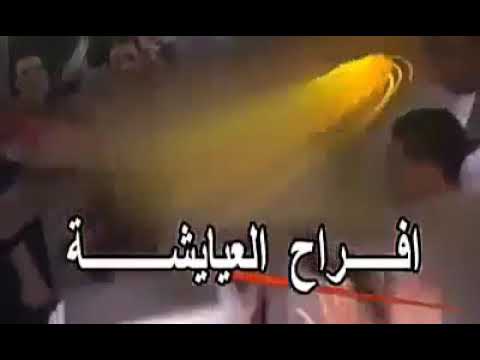 محمد خليل 2019 من حفلة كوم امبو