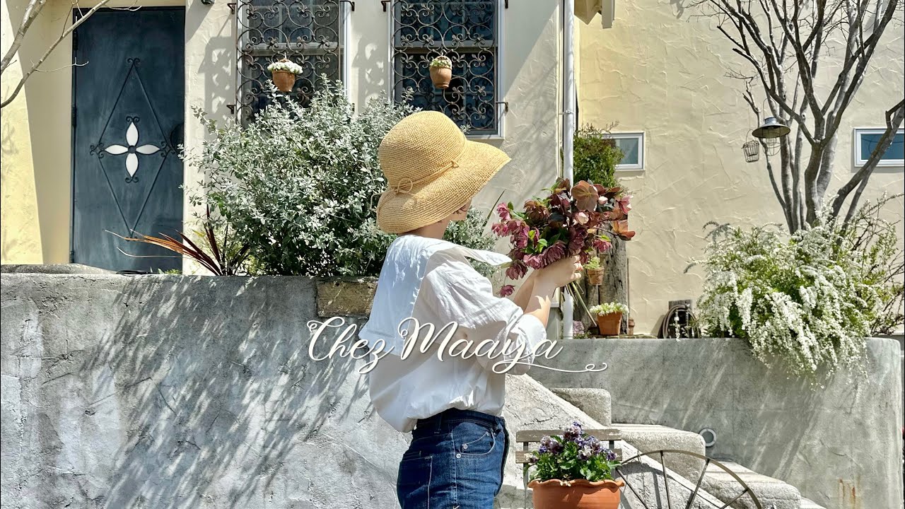 Повседневная жизнь, чтобы насладиться весной | Как насладиться рождественскими розами