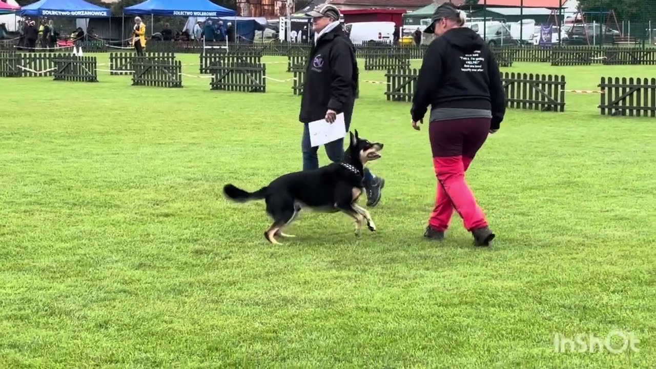 14.9.2025 EOO Puola 258 p.