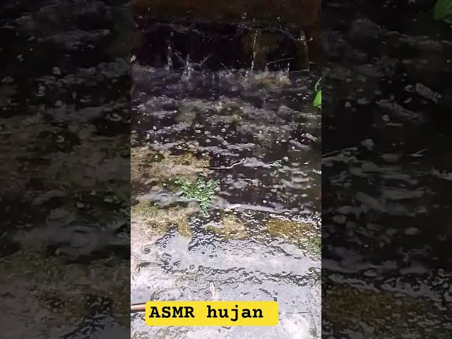 ASMR hujan #asmr #relaxationzone #rain #rainoundforsleep