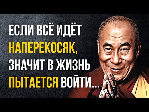 Video: Бальзактын жашы ар бир аялдын жашоосундагы эң сулуу