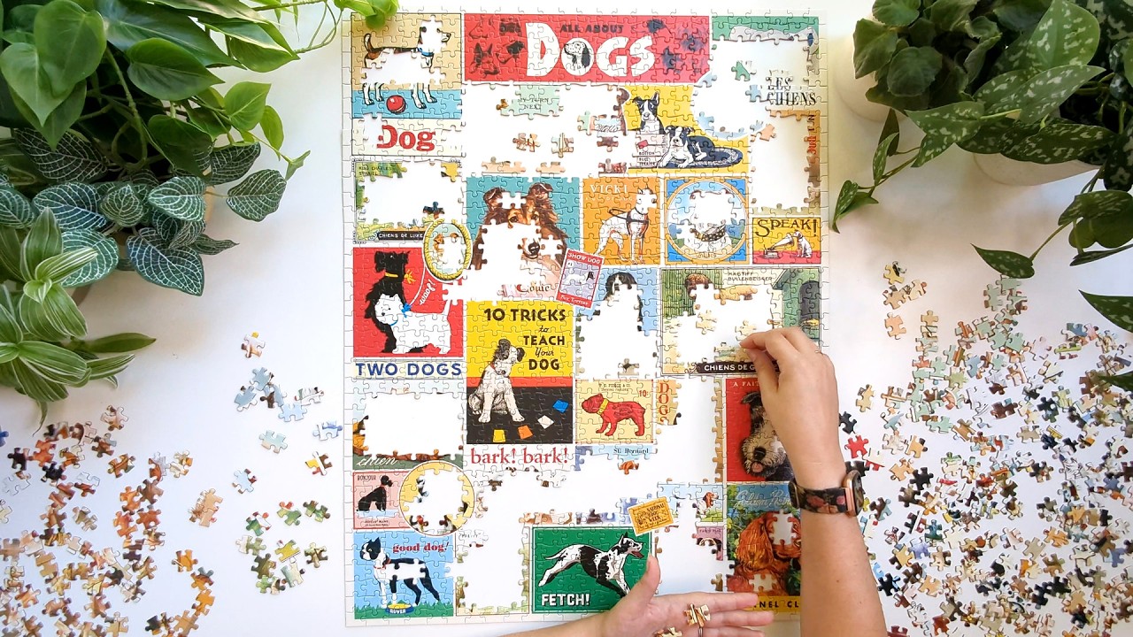 Puzzle National Parks 2 - Cavallini - 1000 pièces - Puzzles E-shop