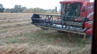 moissoneuse harvest 2008 laverda in france