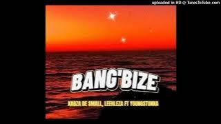 Kabza De Small Feat. Leehleza & Young Stunna - Bang'Bize snippet