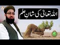 Watch Allah Tala Ki Shan e Ilm | Mufti Tahir Tabassum Qadri | Rehmat e Sehr | ARY Qtv Online In HD