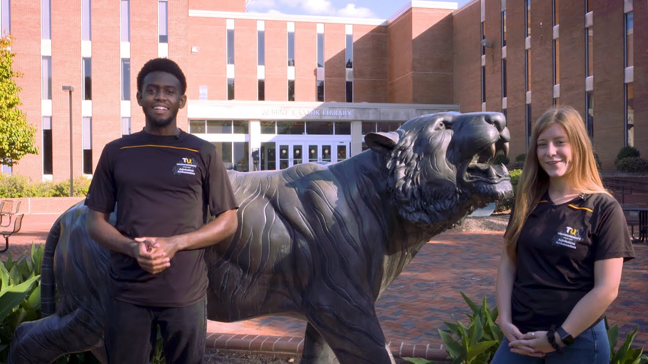 towson university college tour