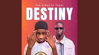 Destiny (feat. Zee vibez)