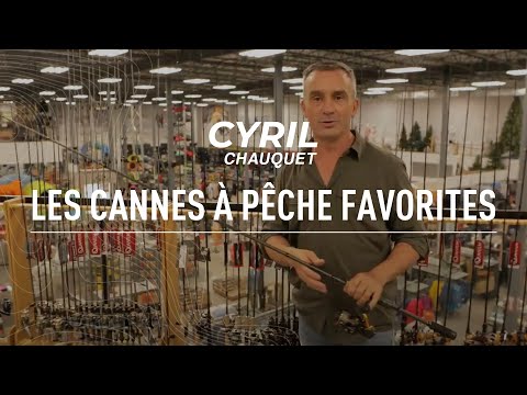 Les favoris de