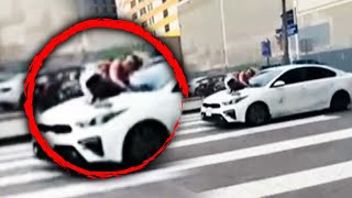 Information Bulldog Owner Clings Onto Speeding Car to Save Stolen Canine Guide