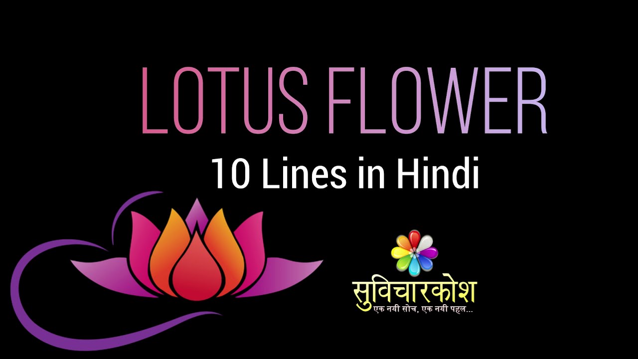 lotus simple essay in hindi