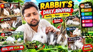 My Rabbits’ Daily Routine 🐇❤️ | Food, Water, Cleaning, Play & Care