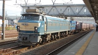 JR貨物 EF66-30〈ゼロロク 1252レ〉 清洲駅貨物線下り