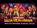 SALSA VIEJA MIX 2026 👑 Héctor Lavoe, Willie Colón, Frankie Ruiz, Ismael Rivera | Salsa Brava