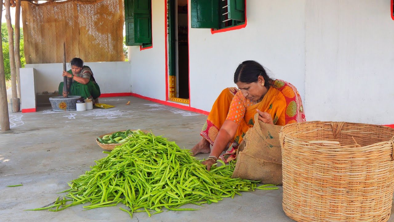 Indian village traditional life & indian farmers life | indian village traditional recipe's 