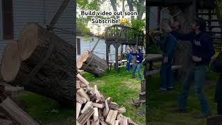 Giant Tree Stump Becomes The Craziest Backyard Slide