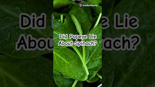 Is Spinach Really as Strong as Popeye Said? #facts  #amazingfacts #healthtips