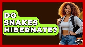 Do Snakes Hibernate? - Survival Skills for Everyone