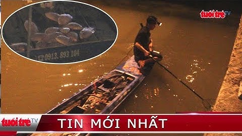 ⚡ Phóng sự | Báo động nạn tận diệt cá dưới kênh Nhiêu Lộc – Thị Nghè