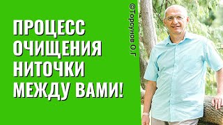 Процесс очищения ниточки между вами! Торсунов лекции