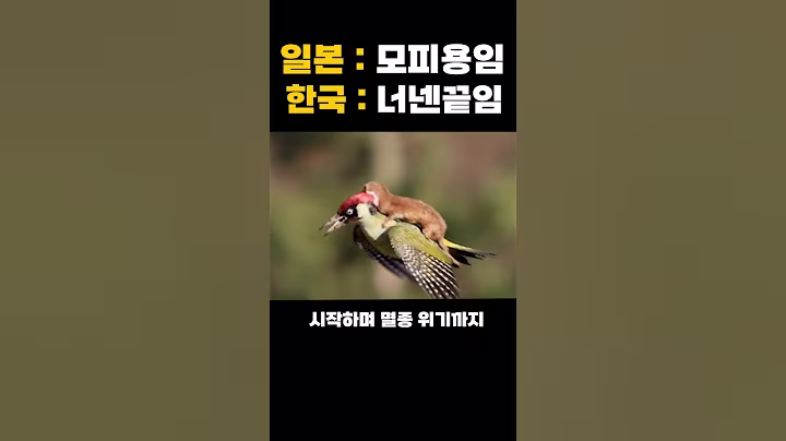 일본 정부도 당황해버린 한국 조선족제비 활약 클라스