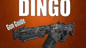 DINGO QUICK GUN GUIDE & BEST CLASS - BLACK OPS 3 GUN REVIEW