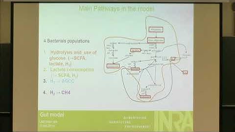 Beatrice Laroche | Contributed Talk 3: A functional population model of fiber degradation by the ...