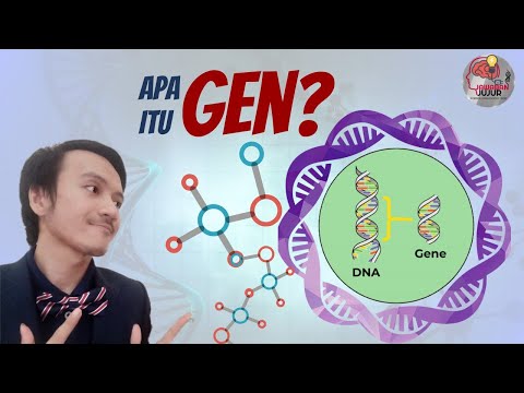 Video: Apa Itu Gen Alelik?