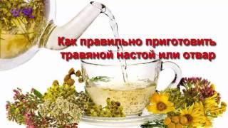 Как правильно приготовить травяной настой или отвар Как правильно приготовить травяной настой или отвар