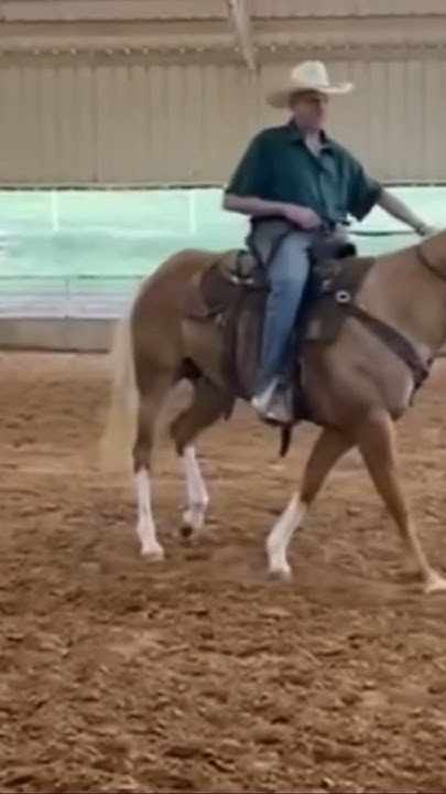 roy cooper july 4 roping
