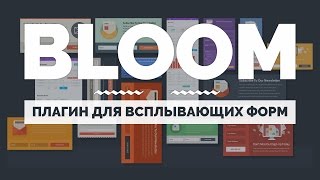 видео Форма подписки на WordPress