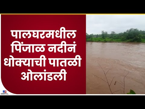 Palghar Rain |पालघरमध्ये पावसाची रिपरिप सुरुच, मोडकसागर आणि तानसा धरण तुडुंब-tv9