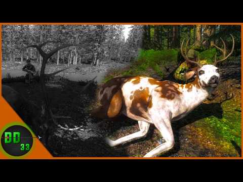 I Haven't Had A Hunt Like This In Almost 10 Years! The Hunter 2026