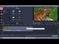 Обрезка видео в программе Movavi Video Editor