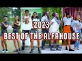  2023 the alfahouse  tiktok dance challenge compilation theealfahouse nasieku klaus